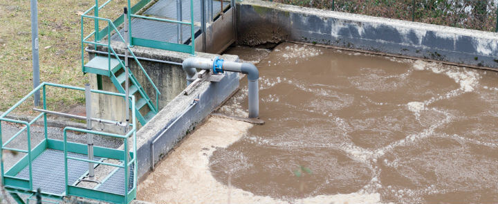 role-of-microorganisms-microbes-used-in-wastewater-treatment